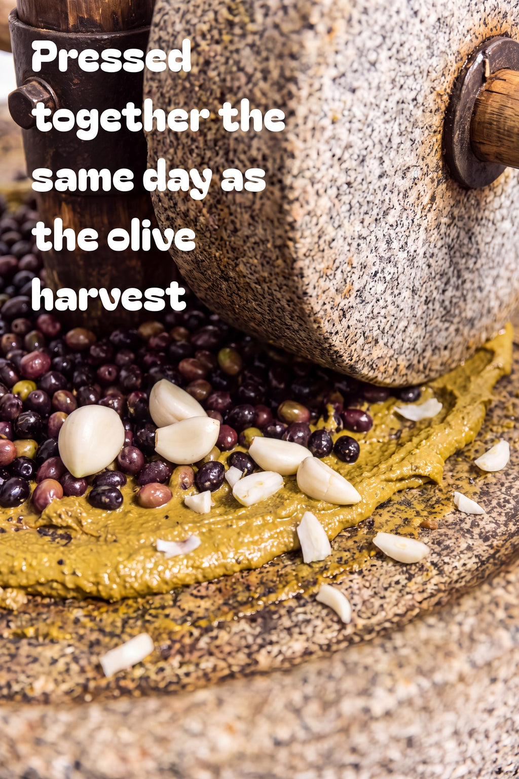 Garlic Extra Virgin Olive Oil — 175ml Tin