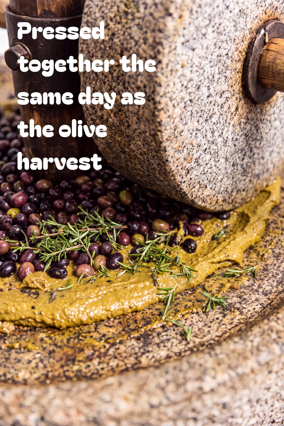 Thyme Extra Virgin Olive Oil — 175ml Tin