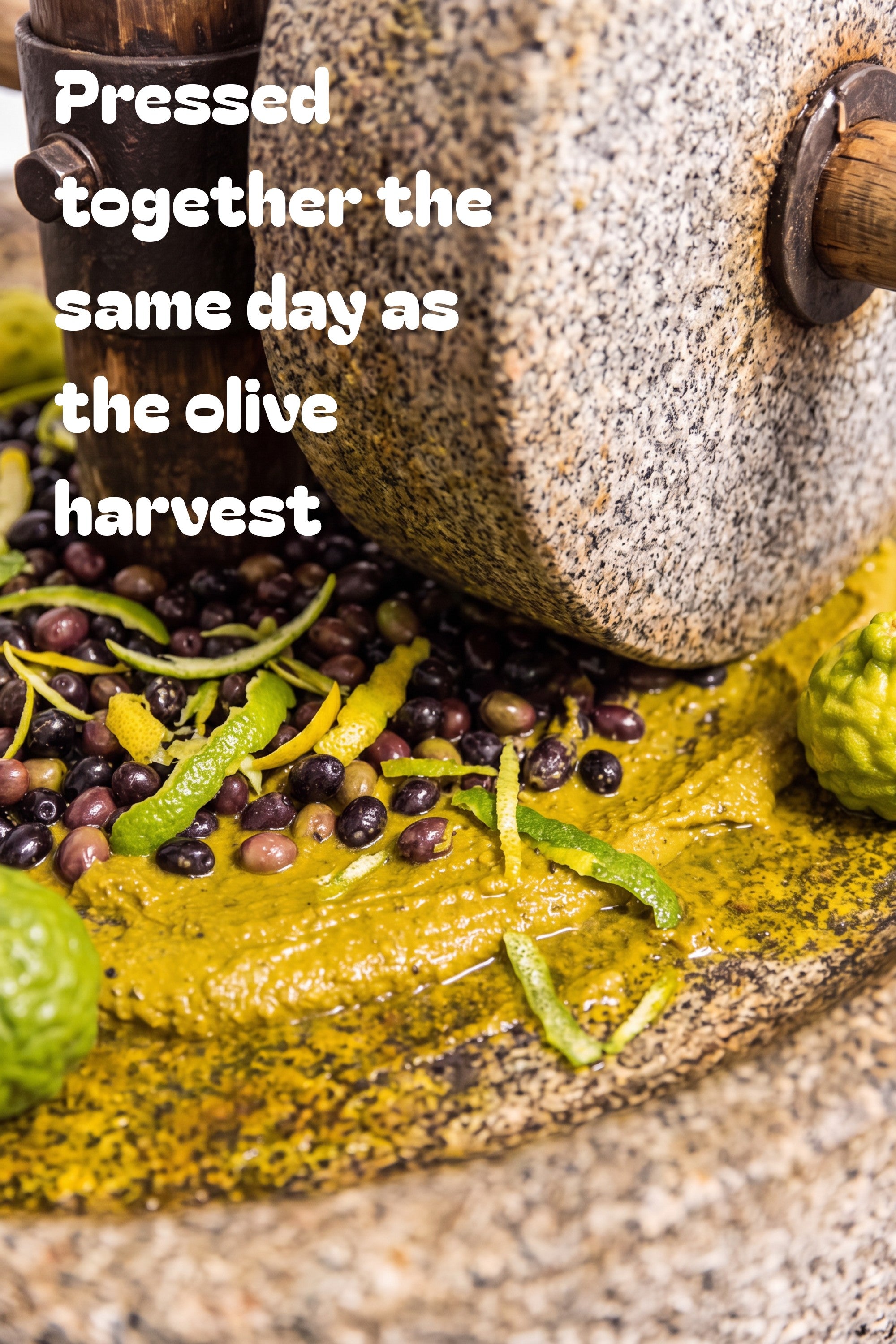 Bergamot Extra Virgin Olive Oil — 175ml Tin
