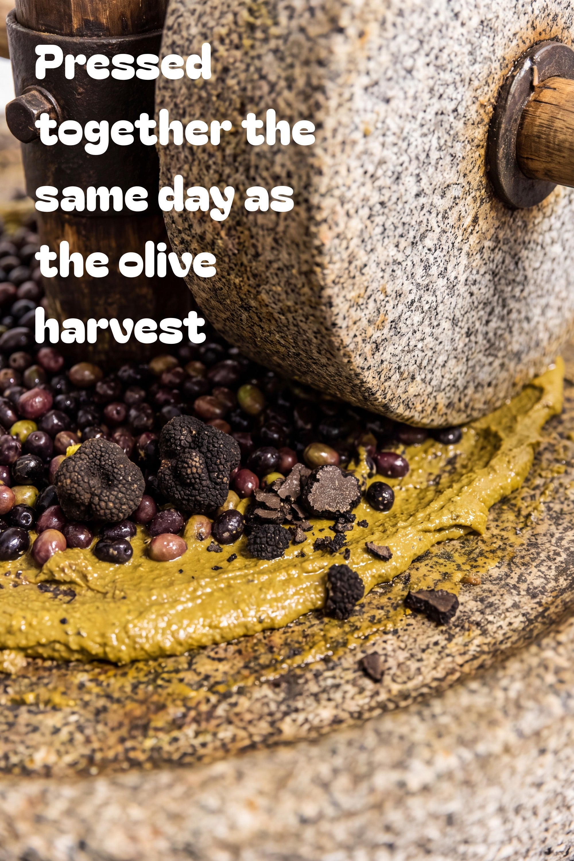 Truffle Extra Virgin Olive Oil — 175ml Tin